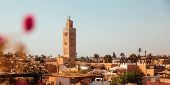 Picture of Highlights & Hidden Gems of Marrakech