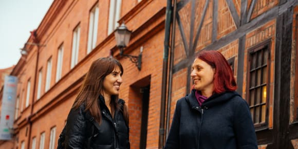 Picture of City Discovery: Malmo Day Trip