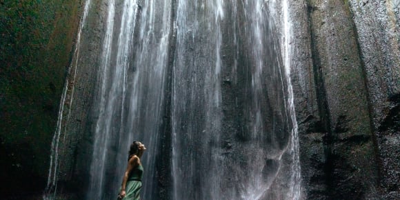 Picture of Full Coverage Bali Island Tour
