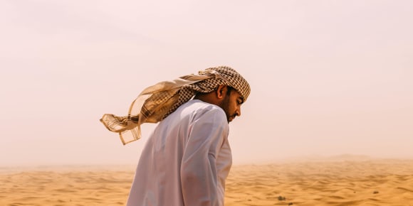 Picture of One of a Kind Desert Adventure Experience