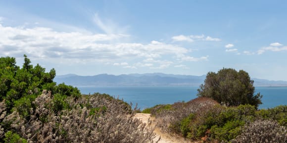 Picture of Beach Breeze Ride: Horseback Adventure with Aperitif 