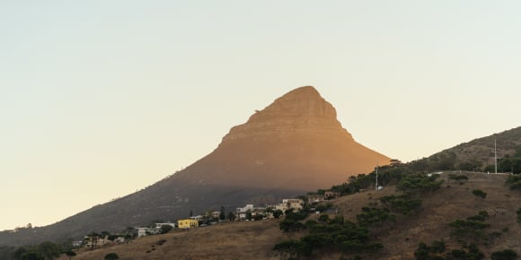 Picture of Off the Beaten Track in Cape Town: Woodstock Tour
