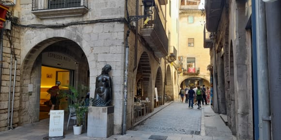 Picture of Girona's Sensations