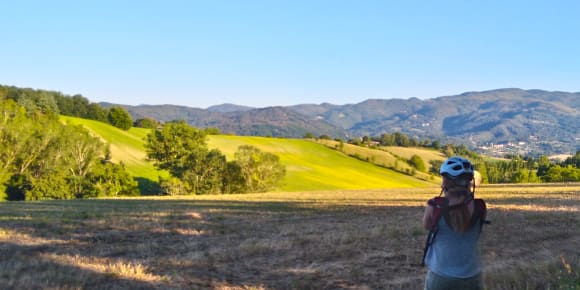 Picture of Tuscan Countryside Bike Tour & Saffron Tasting