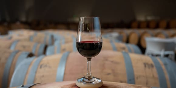 Picture of An Enchanting Chianti Experience