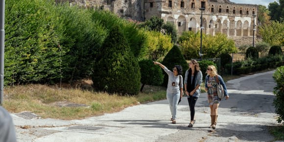 Picture of Explore Pompeii with a Local Guide