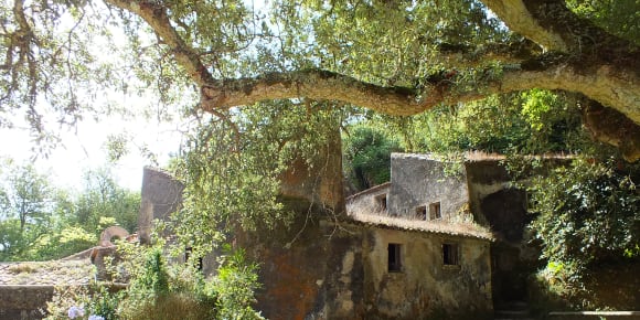 Picture of Enchanted, Mysterious and Charming Sintra by Car