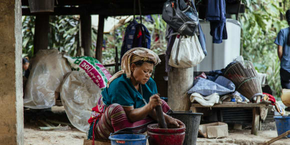 Picture of City Escape: Doi Inthanon Day Trip