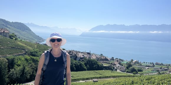 Picture of UNESCO World heritage vineyards