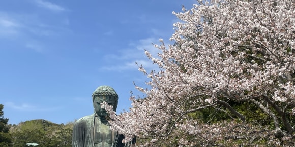 Picture of Discover the beauty of Kamakura, an ancient city in a day trip!