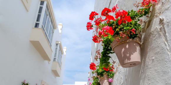 Picture of Explore Rota: A Coastal Escape from Cadiz
