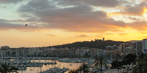 Picture of Highlights & Hidden Gems of Palma de Mallorca