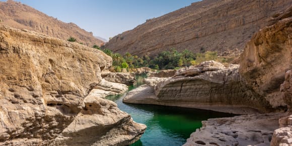 Picture of Stars & Sand: A Mesmerizing 2-Day Camping Escape in Wahiba