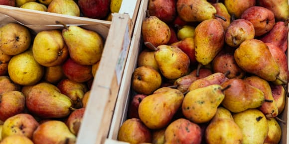Picture of Local Market Visit & Vegan Home Cooking with a Vegan Cook!