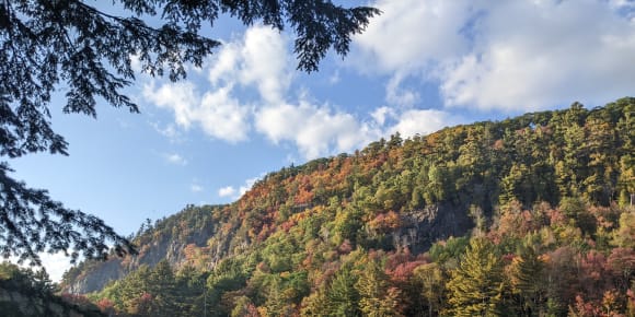 Picture of Montreal Day Trip: Hike Alfred Kelly Reserve, an Escape to Nature