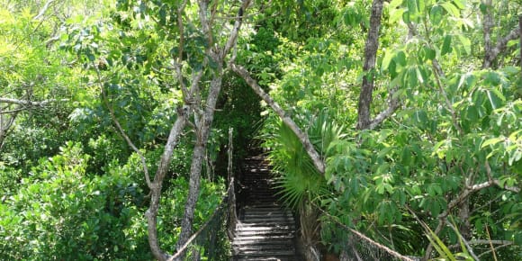 Picture of Explore Like a Local with Cancun Manny's Show and Tell Tour