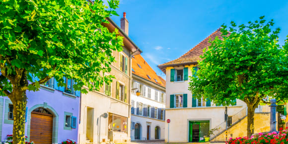 Picture of A Day by Lake Geneva: Picturesque cities & Steamboat
