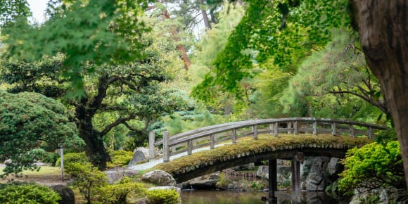 Picture of The Beauty of Kyoto by Bike Tour