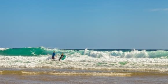 Picture of Full-Day Private Group Great Ocean Road Tour from Melbourne