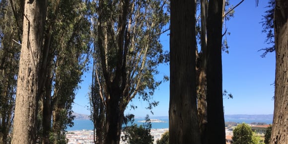 Picture of Presidio Park to Palace of Fine Arts & the Beach Tour