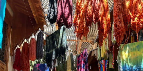 Picture of Highlights & Hidden Gems of Fes with the Ramparts Tour 