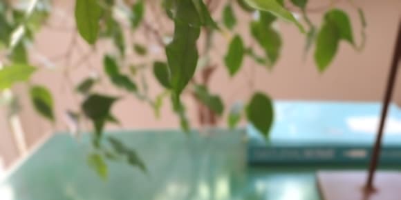 Picture of Natural Food & Wine in Milanese Home 