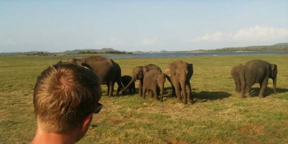 Picture of Enjoy landscape and wildlife at the south-coast