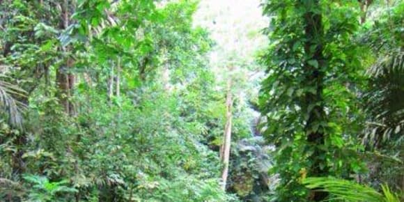 Picture of Day Trip to Nature: Hidden Valley Springs 