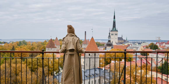 Picture of Highlights & Hidden Gems of Tallinn