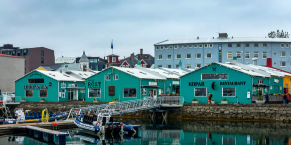 Picture of The 10 Tastings of Reykjavik