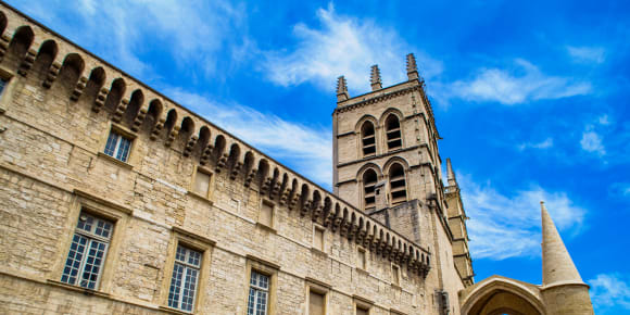 Picture of Highlights & Hidden Gems of Montpellier