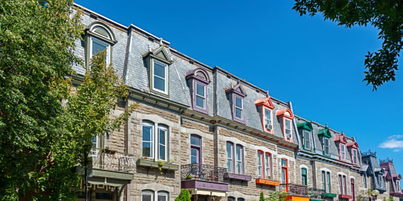 Picture of Highlights & Hidden Gems of Montreal