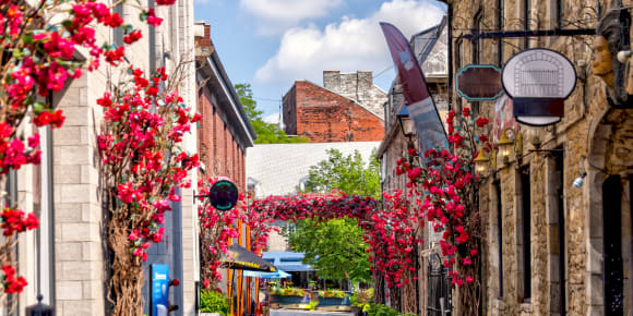 Picture of Withlocals Your Way! - Montreal City Tour