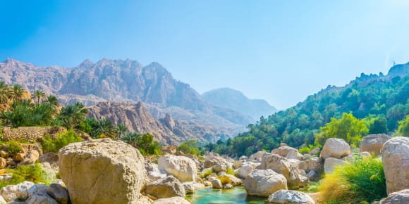 Picture of City Escape:  Wahiba Sands & Wadi Bani Khalid Day Trip