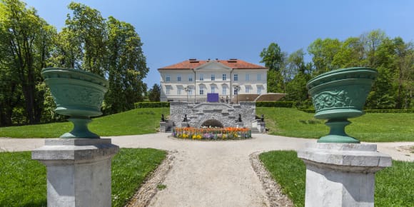 Picture of Highlights & Hidden Gems of Ljubljana