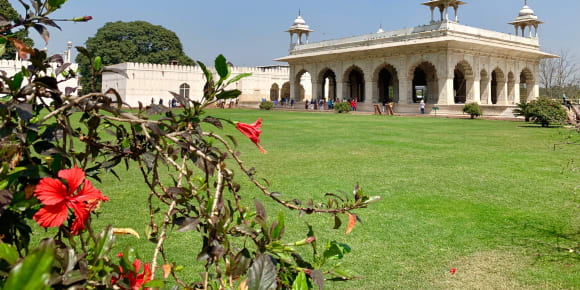 Picture of Highlights & Hidden Gems of New Delhi