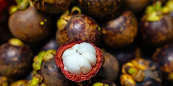Picture of The 10 Tastings of Yogyakarta: Street Food