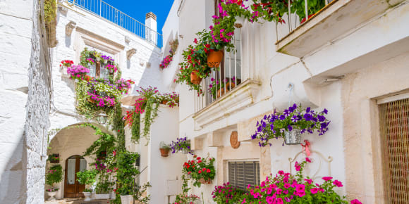 Picture of Full Coverage Brindisi City Tour