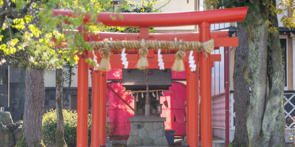 Picture of Highlights & Hidden Gems of Fukui