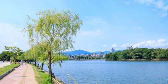 Picture of Highlights & Hidden Gems of Fukuoka