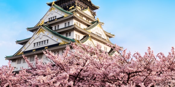Picture of Highlights & Hidden Gems of Osaka