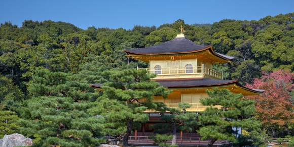 Picture of Withlocals Your Way! - Kyoto City Tour