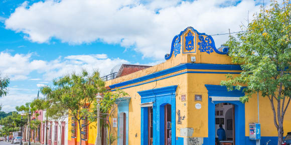 Picture of Highlights & Hidden Gems of Oaxaca