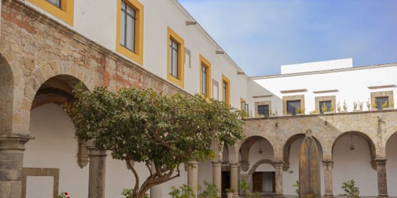 Picture of Highlights & Hidden Gems of Guadalajara