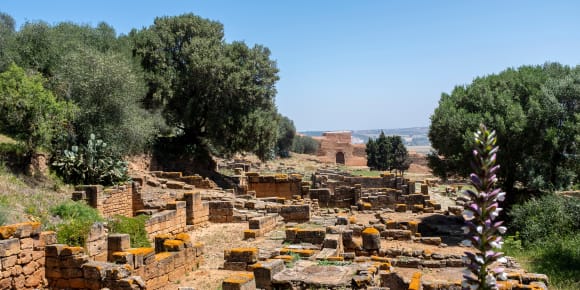 Picture of City Explorer Rabat:  Day Trip