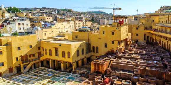 Picture of Highlights & Hidden Gems of Fes