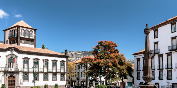 Picture of Highlights & Hidden Gems of Funchal