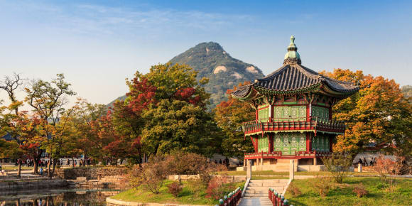 Picture of Full Coverage Seoul City Tour