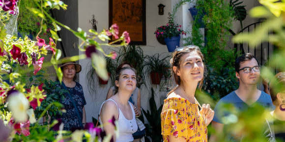 Picture of Highlights & Hidden Gems of Cadiz