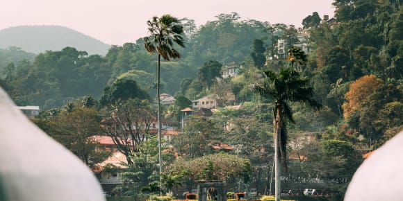 Picture of Full Coverage Kandy City Tour